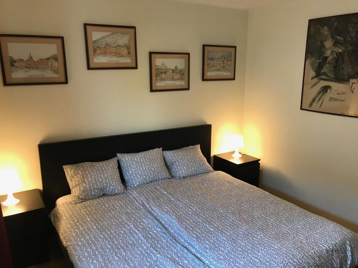 Lovely & Cozy Apartment سِنايا المظهر الخارجي الصورة