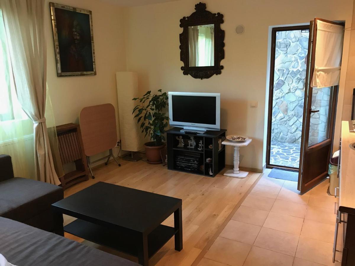 Lovely & Cozy Apartment سِنايا المظهر الخارجي الصورة